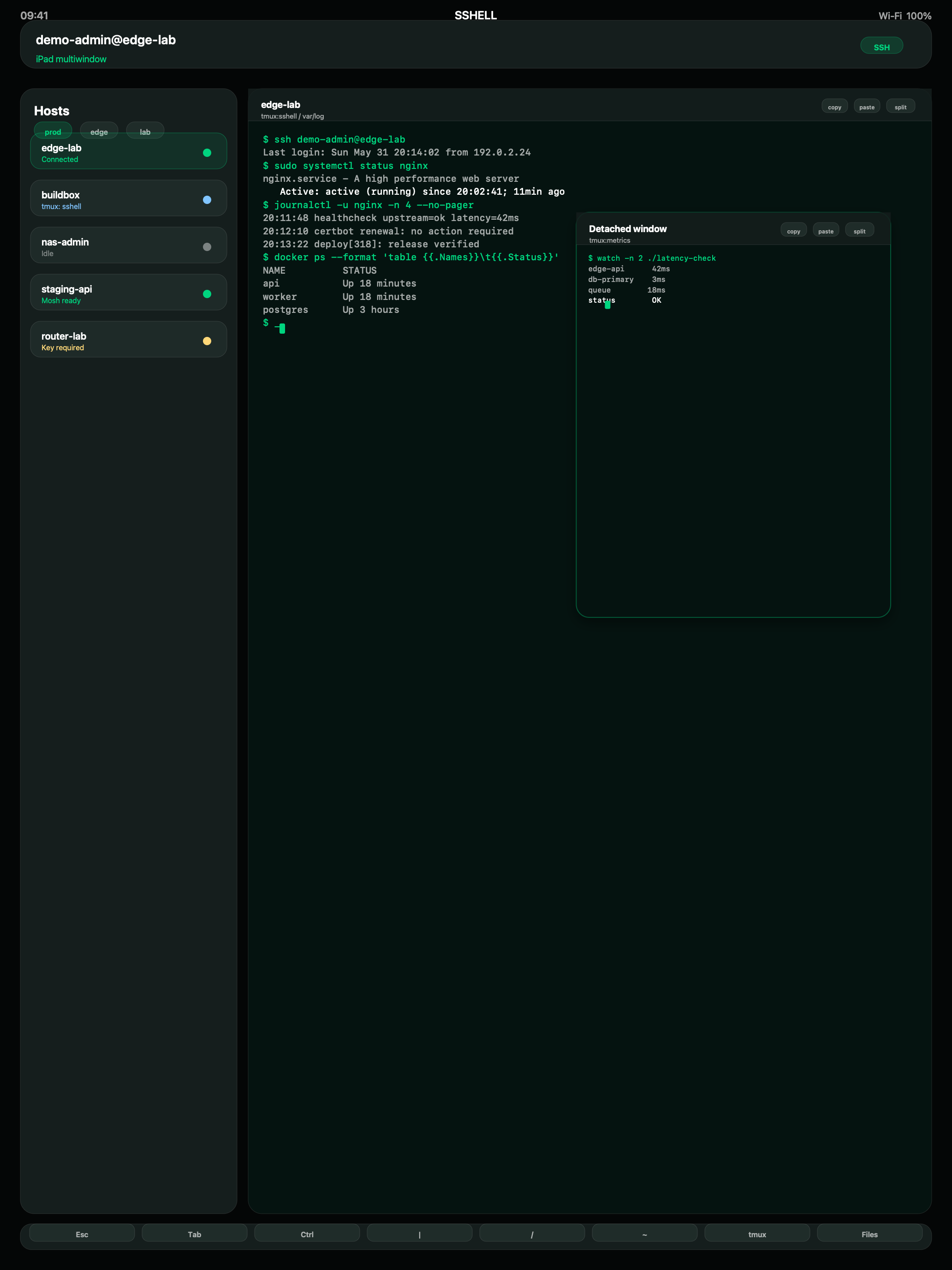 SSHELL Terminal on iPad showing saved hosts beside a connected terminal session.
