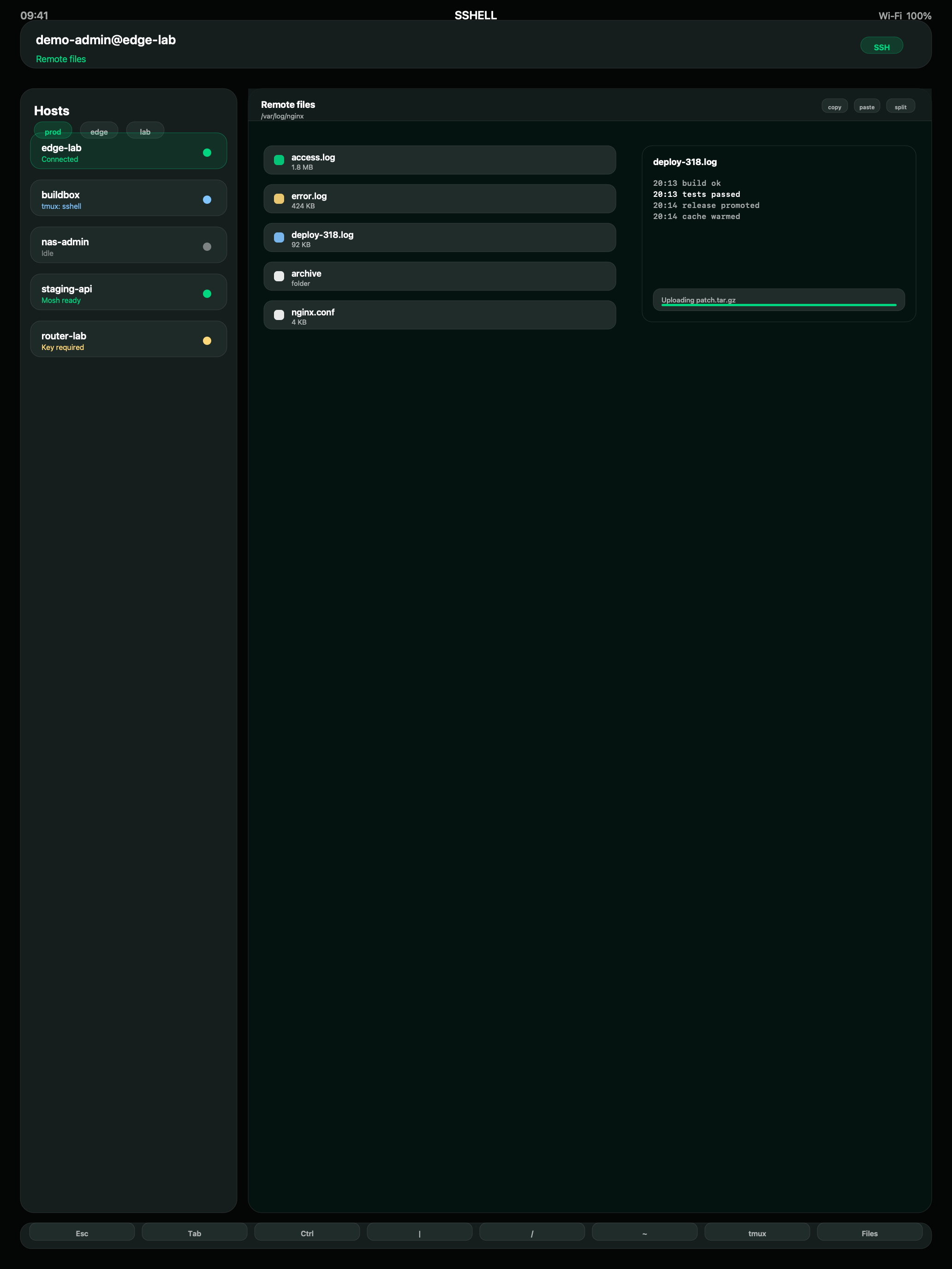 SSHELL iPad screenshot showing a remote file browser over a connected terminal session.