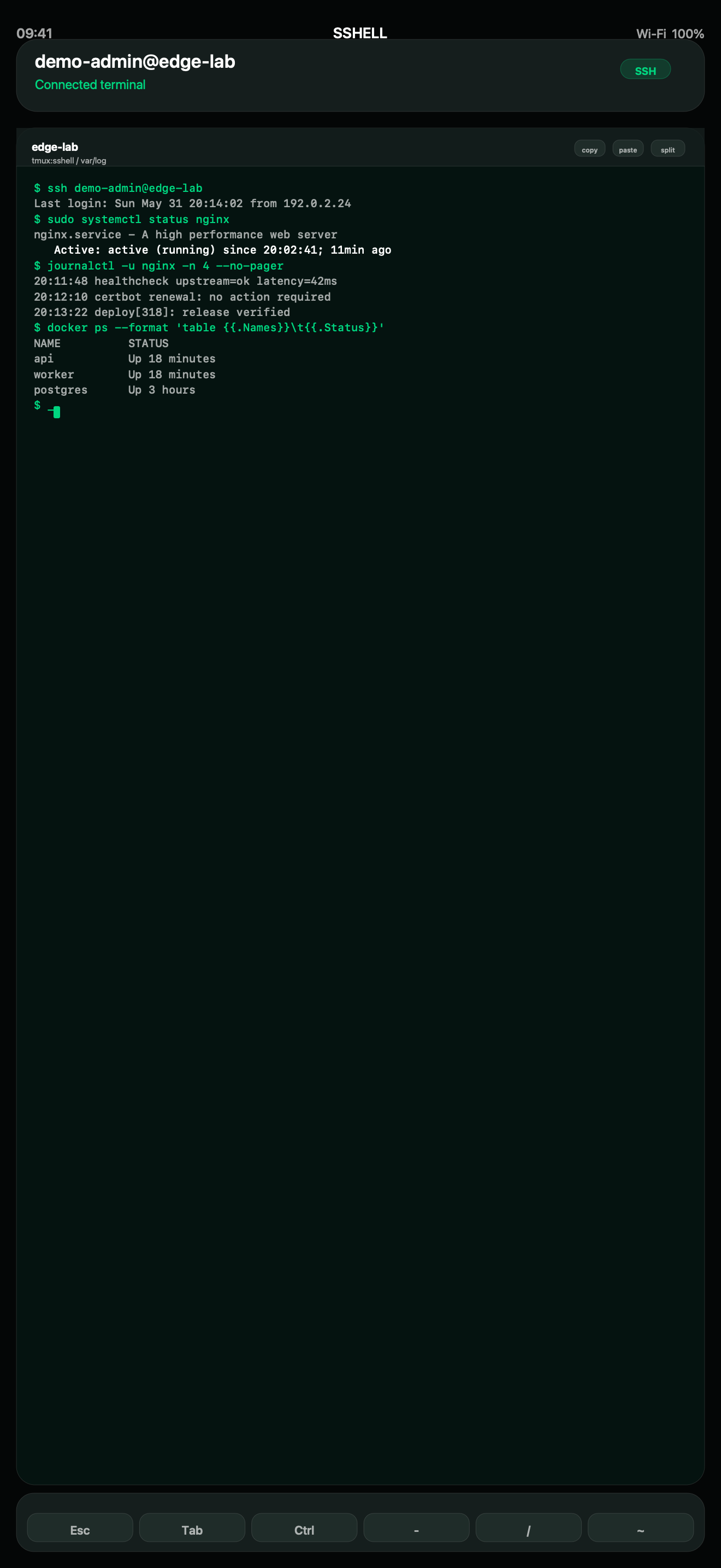 SSHELL iPhone screenshot showing a connected terminal session with fake server administration output and keyboard controls.