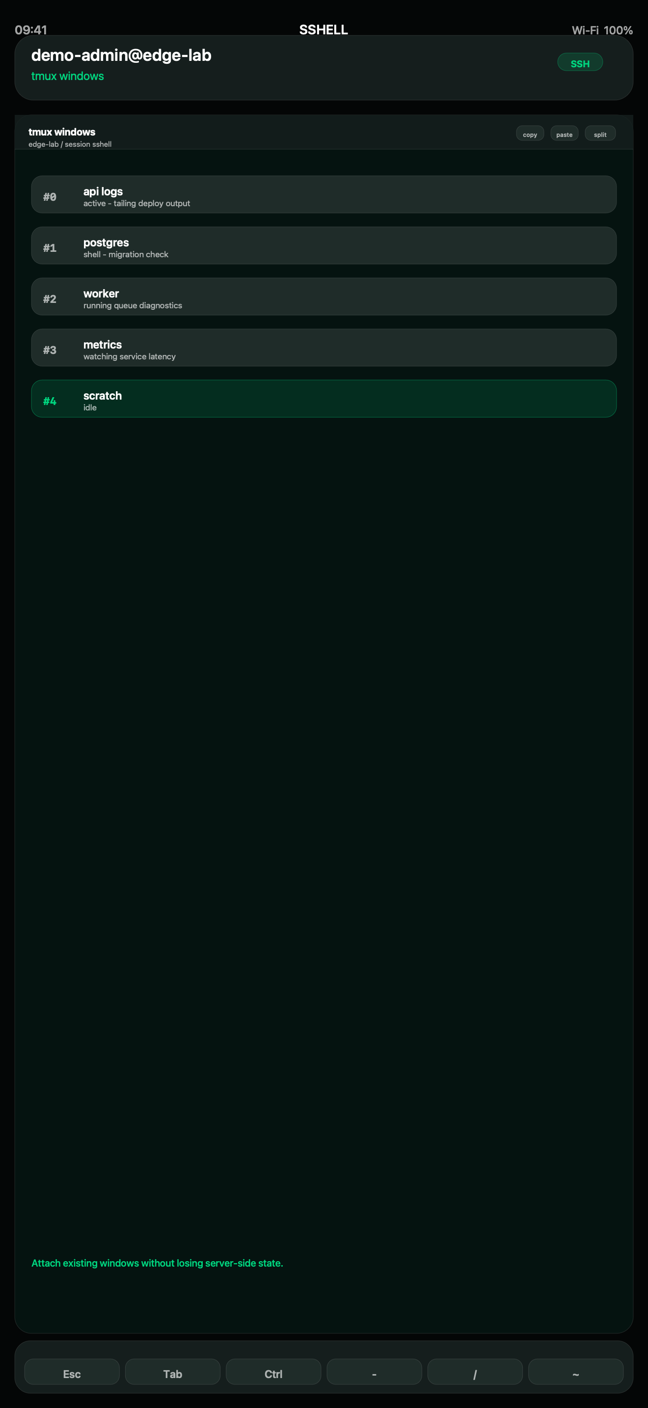 SSHELL iPhone screenshot showing tmux windows for a fake demo host.