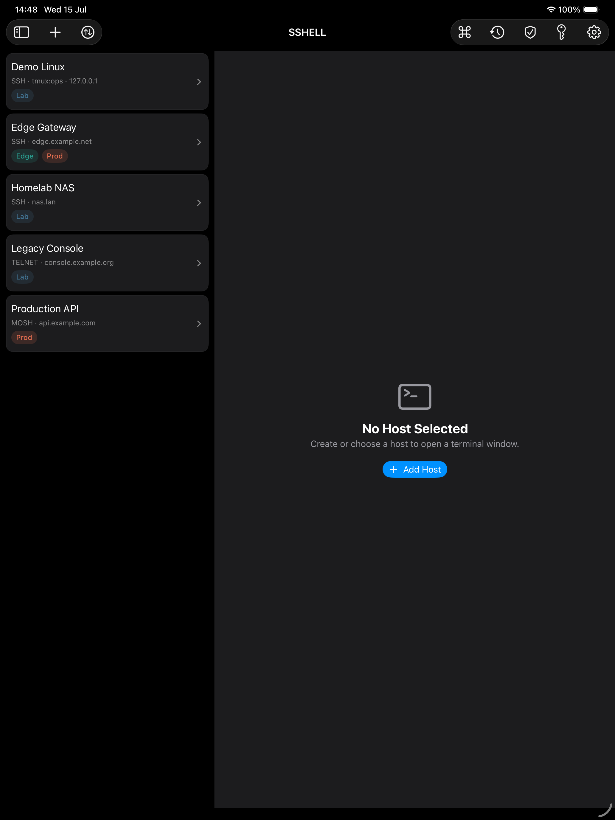 SSHELL iPad screenshot showing saved hosts beside the terminal workspace.