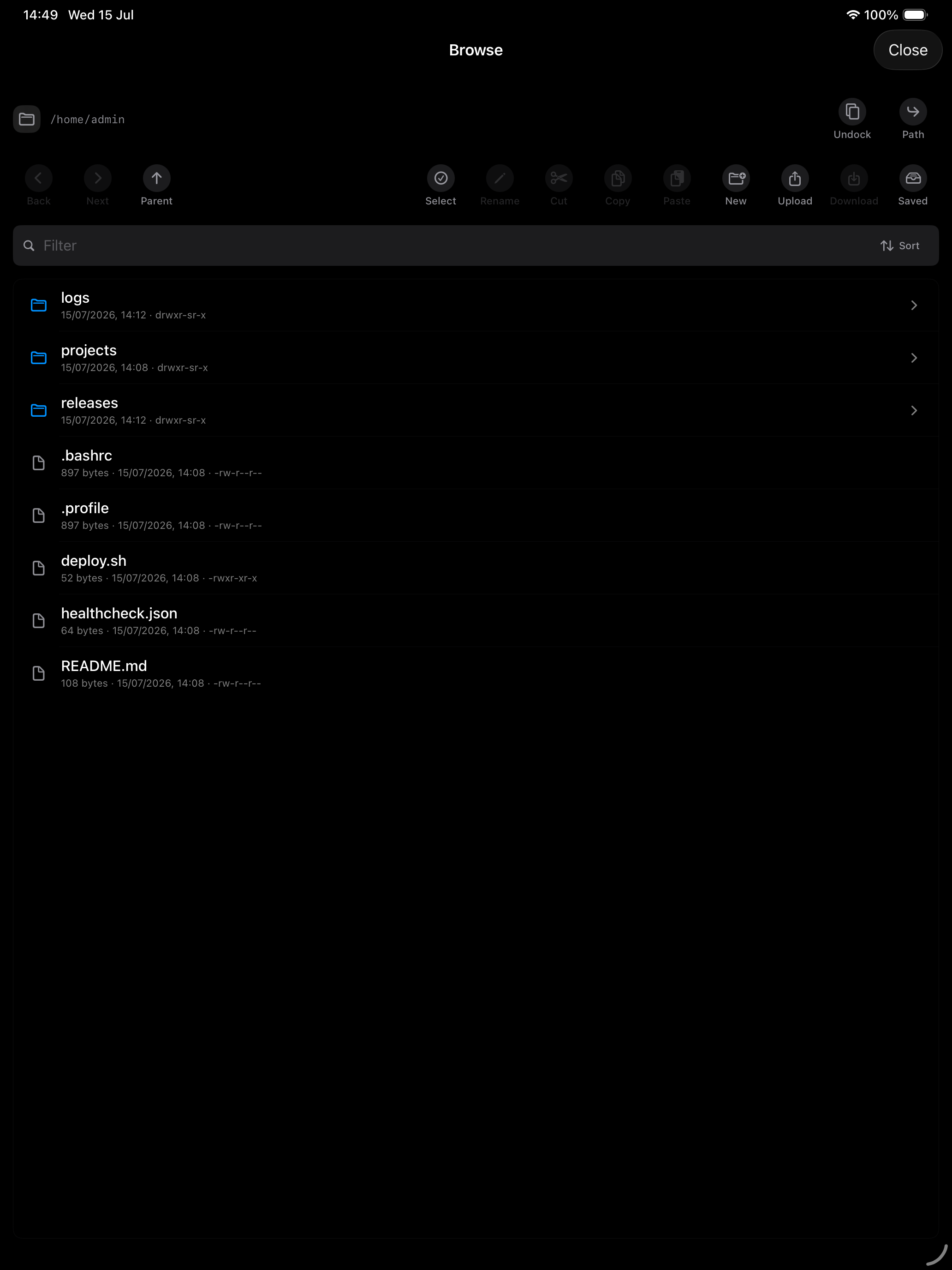 SSHELL iPad screenshot showing a populated remote file browser.