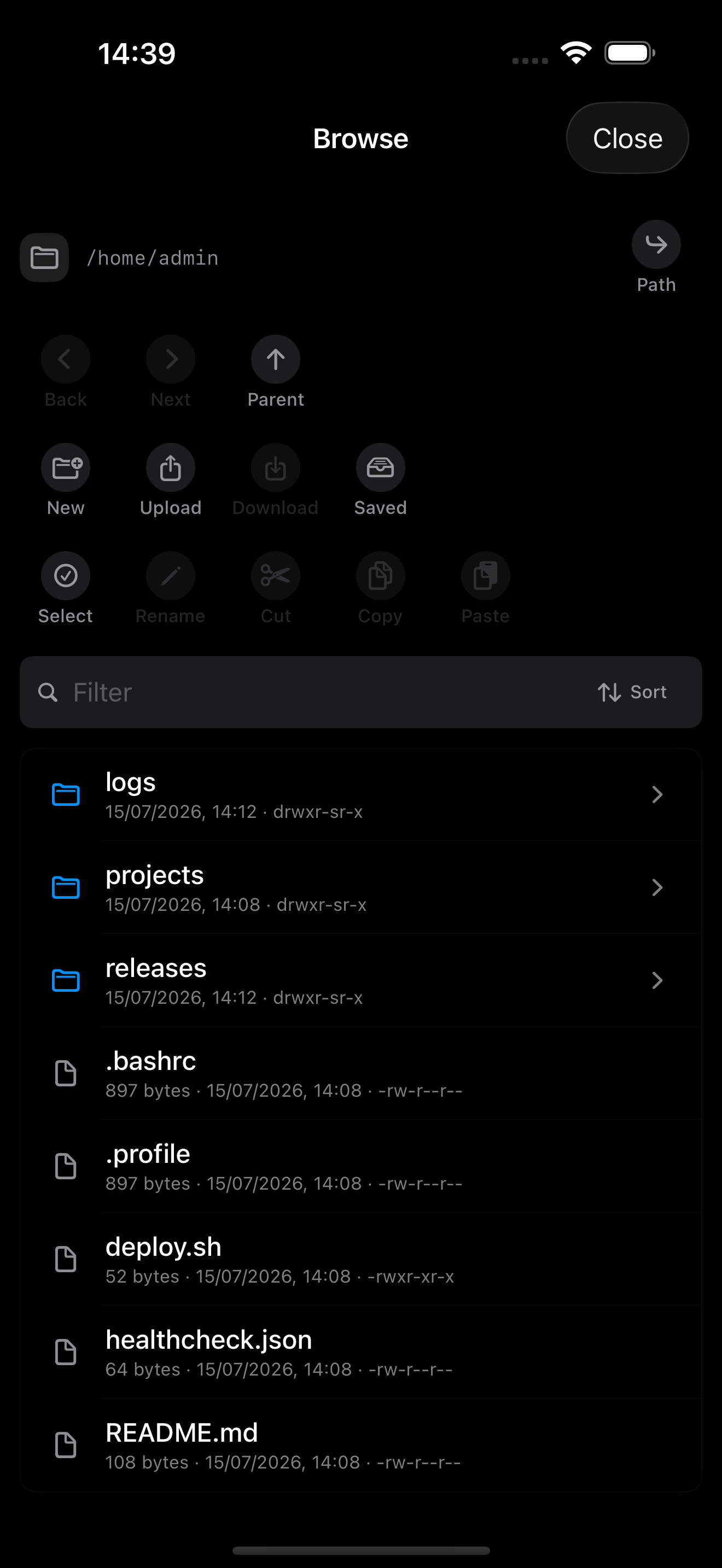 SSHELL iPhone screenshot showing files on a connected remote host.